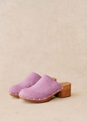 Purple Sézane Tibby Women's Clogs | USA AEO-526043