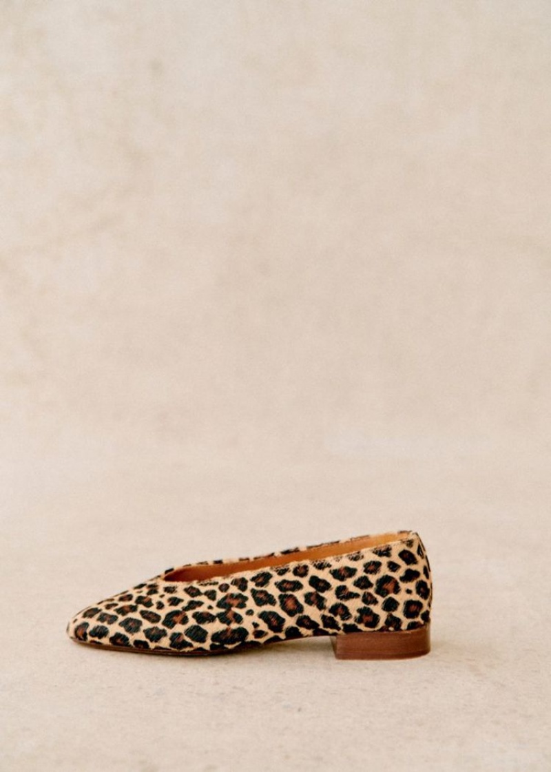 Leopard Sézane Matilda Women's Ballerinas | USA XFS-486395